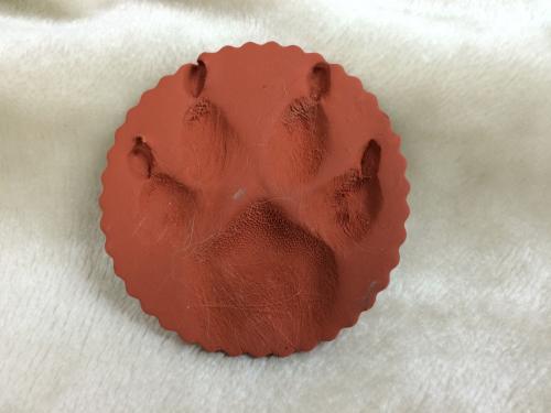 Crematory paw print example