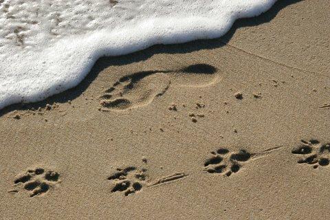 Foot prints on sand