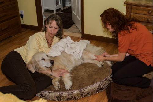 at home euthanasia for dogs cost