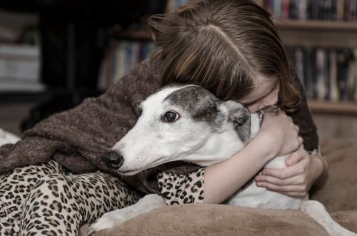 Child hugging dog